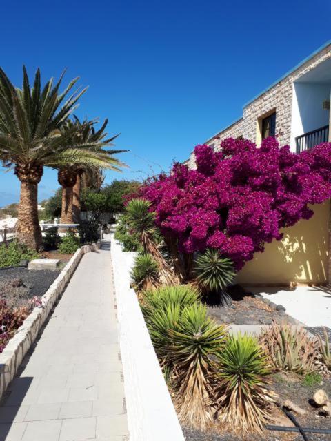 Maravilla Bungalows Cotillo 外观 照片